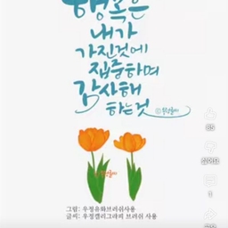 피드에 업로드 된 이미지