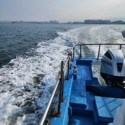 피드에 업로드 된 이미지