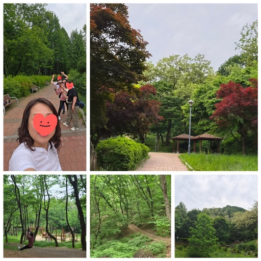 피드 이미지