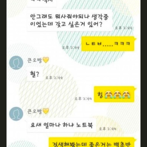 피드 이미지