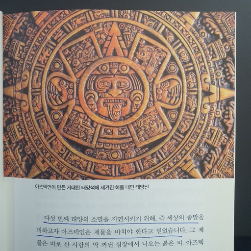 피드 이미지