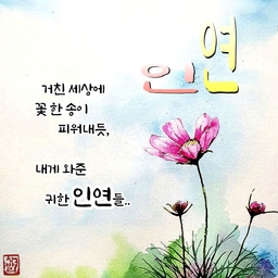 피드에 업로드 된 이미지