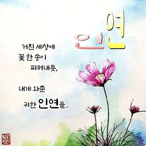 피드 이미지