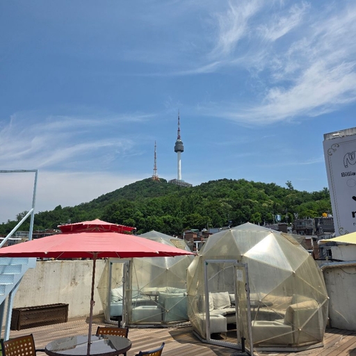 피드 이미지