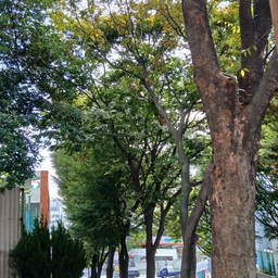 피드에 업로드 된 이미지