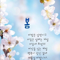 피드에 업로드 된 이미지