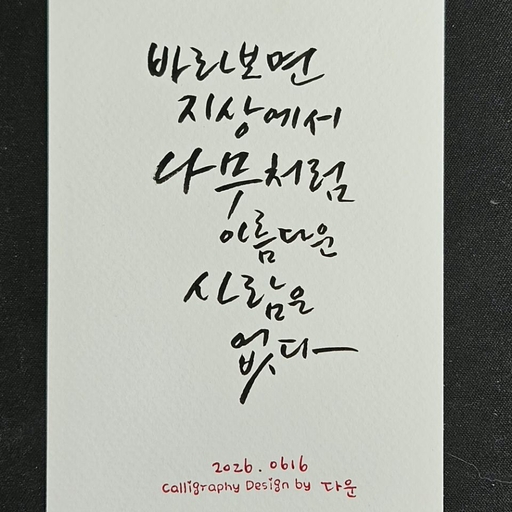 피드 이미지