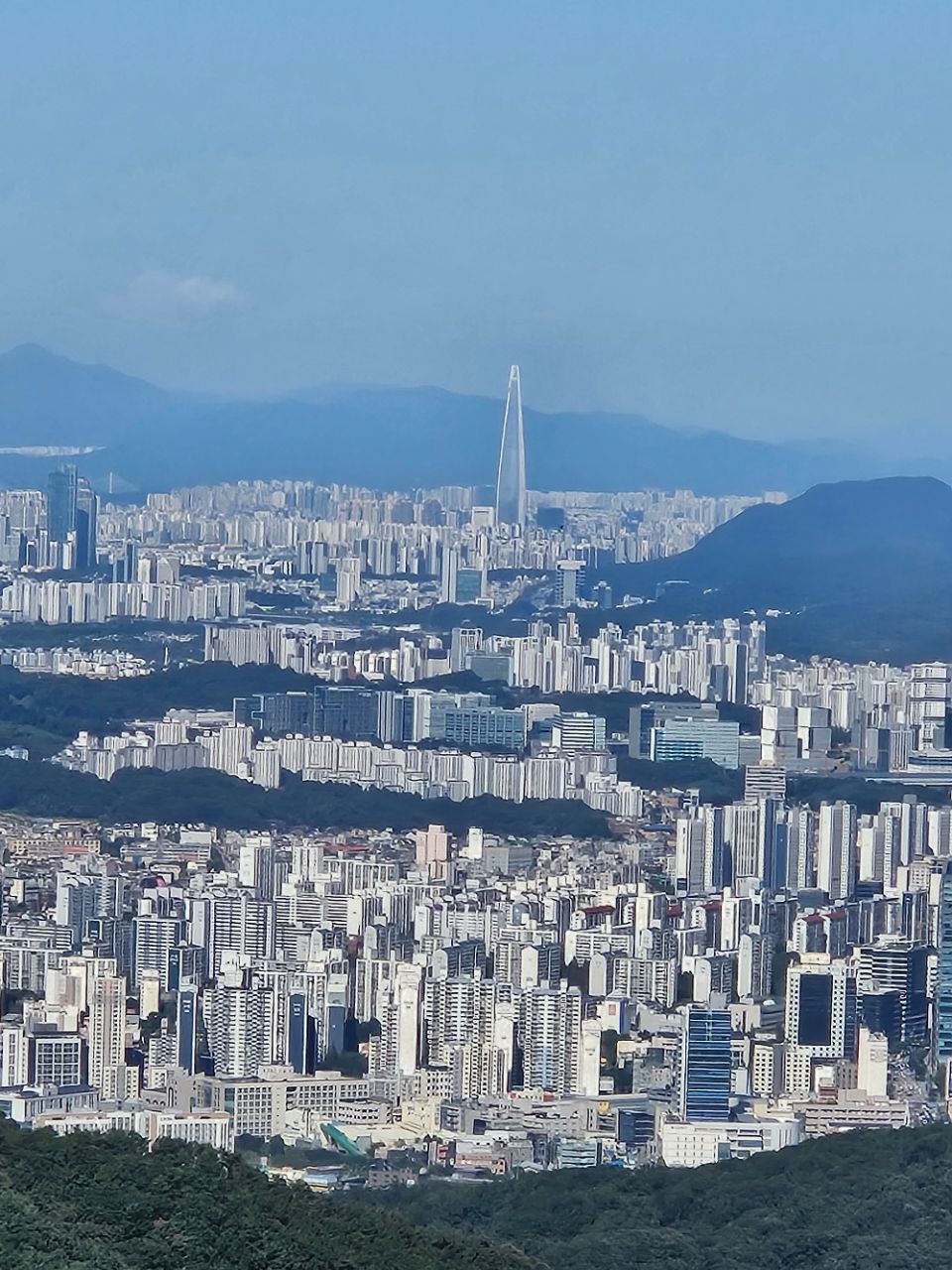 피드 이미지