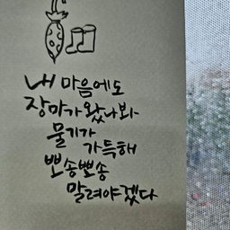 피드에 업로드 된 이미지