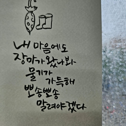 피드 이미지