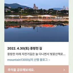 피드에 업로드 된 이미지