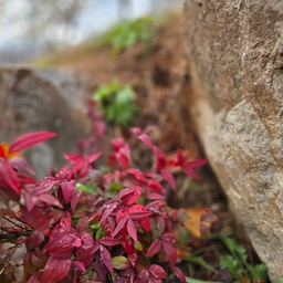 피드에 업로드 된 이미지