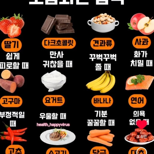 피드 이미지