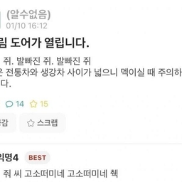 피드에 업로드 된 이미지