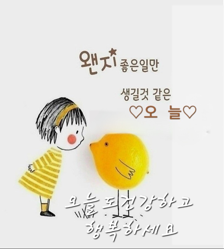 피드에 업로드 된 이미지