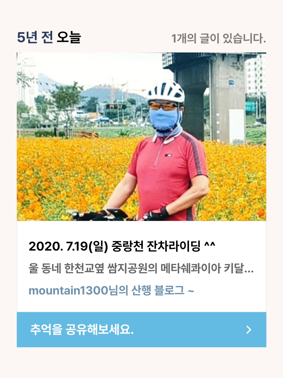 피드에 업로드 된 이미지