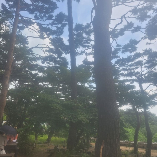 피드 이미지