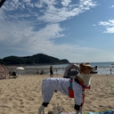유저 프로필