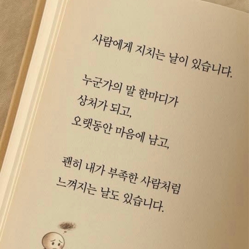피드 이미지
