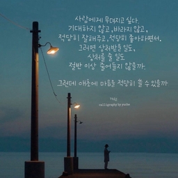 피드에 업로드 된 이미지