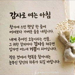 피드에 업로드 된 이미지