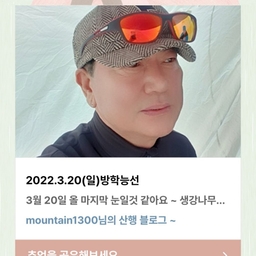 피드에 업로드 된 이미지