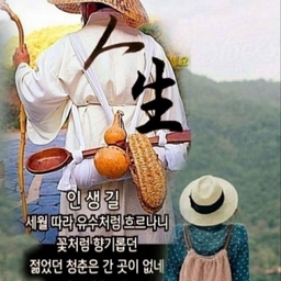 피드에 업로드 된 이미지