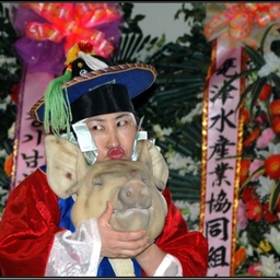 피드에 업로드 된 이미지