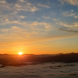 피드에 업로드 된 이미지