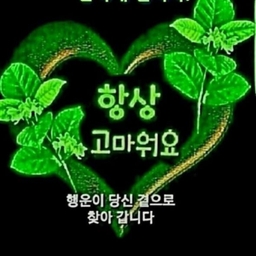 피드에 업로드 된 이미지