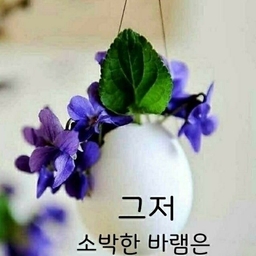 피드에 업로드 된 이미지