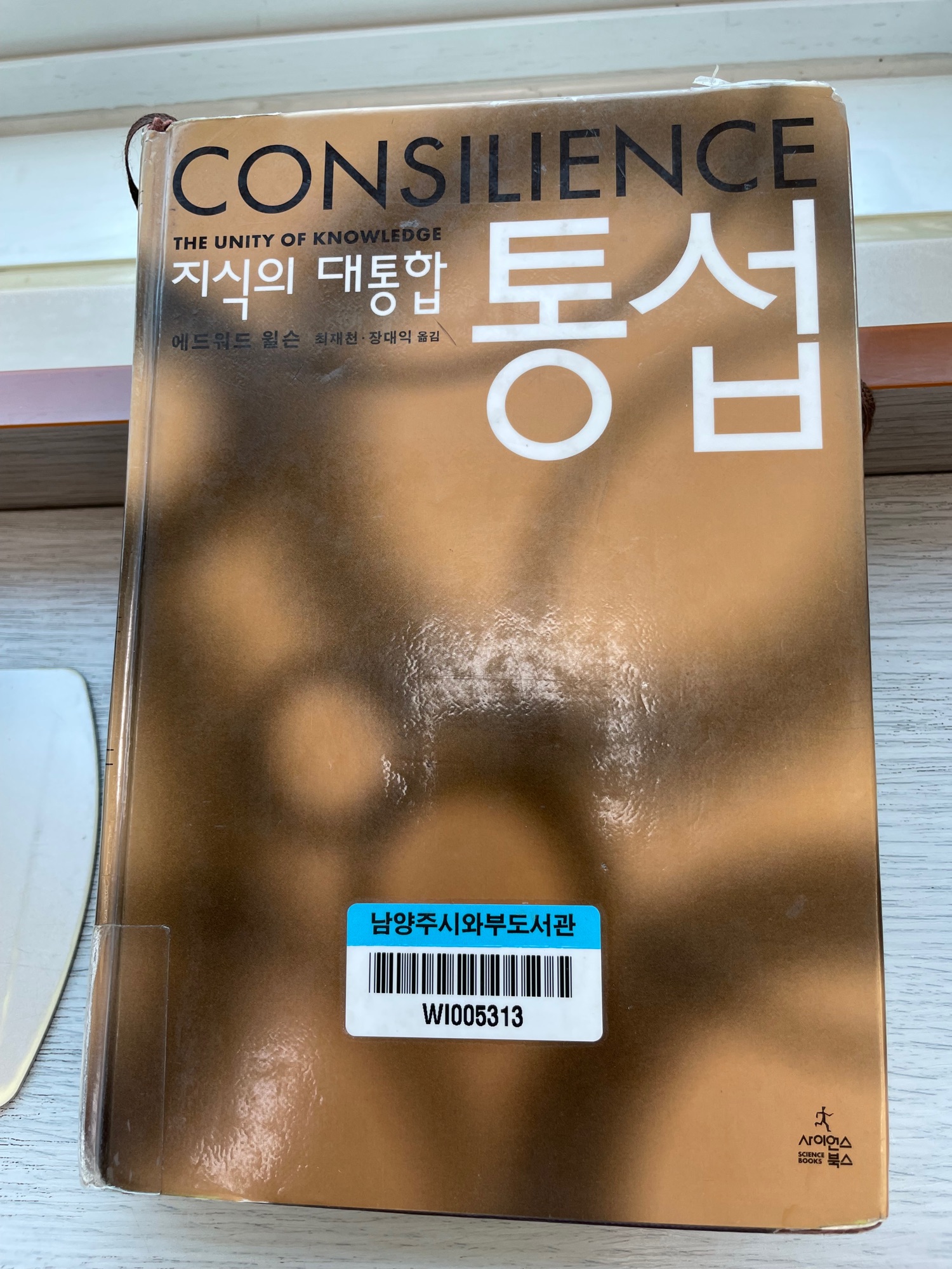 피드에 업로드 된 이미지