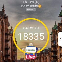 피드에 업로드 된 이미지