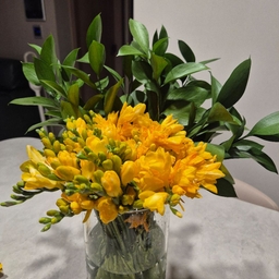 피드에 업로드 된 이미지