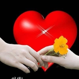 피드에 업로드 된 이미지