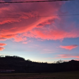 피드에 업로드 된 이미지