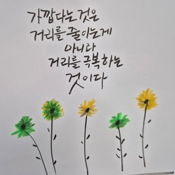 피드에 업로드 된 이미지