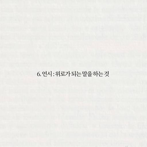피드 이미지