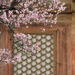 피드에 업로드 된 이미지