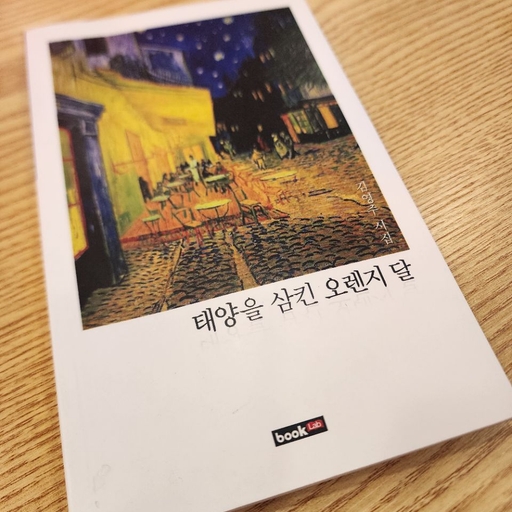 피드 이미지