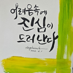 피드에 업로드 된 이미지