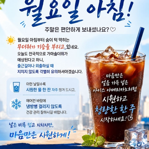 피드 이미지