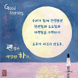 피드에 업로드 된 이미지