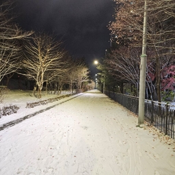 피드에 업로드 된 이미지