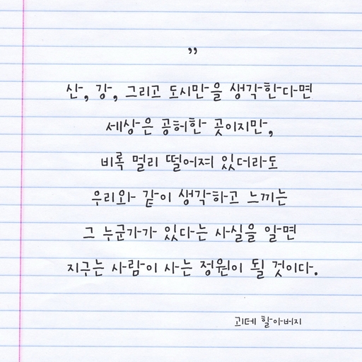 피드 이미지