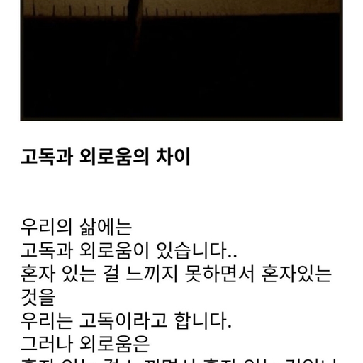 피드 이미지