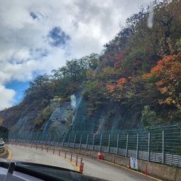 공지사항에 업로드 된 이미지