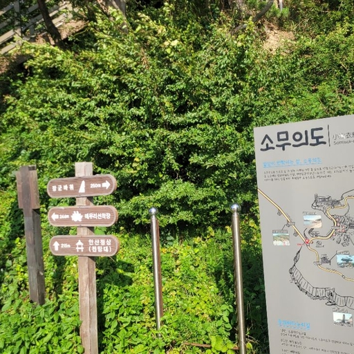 피드 이미지