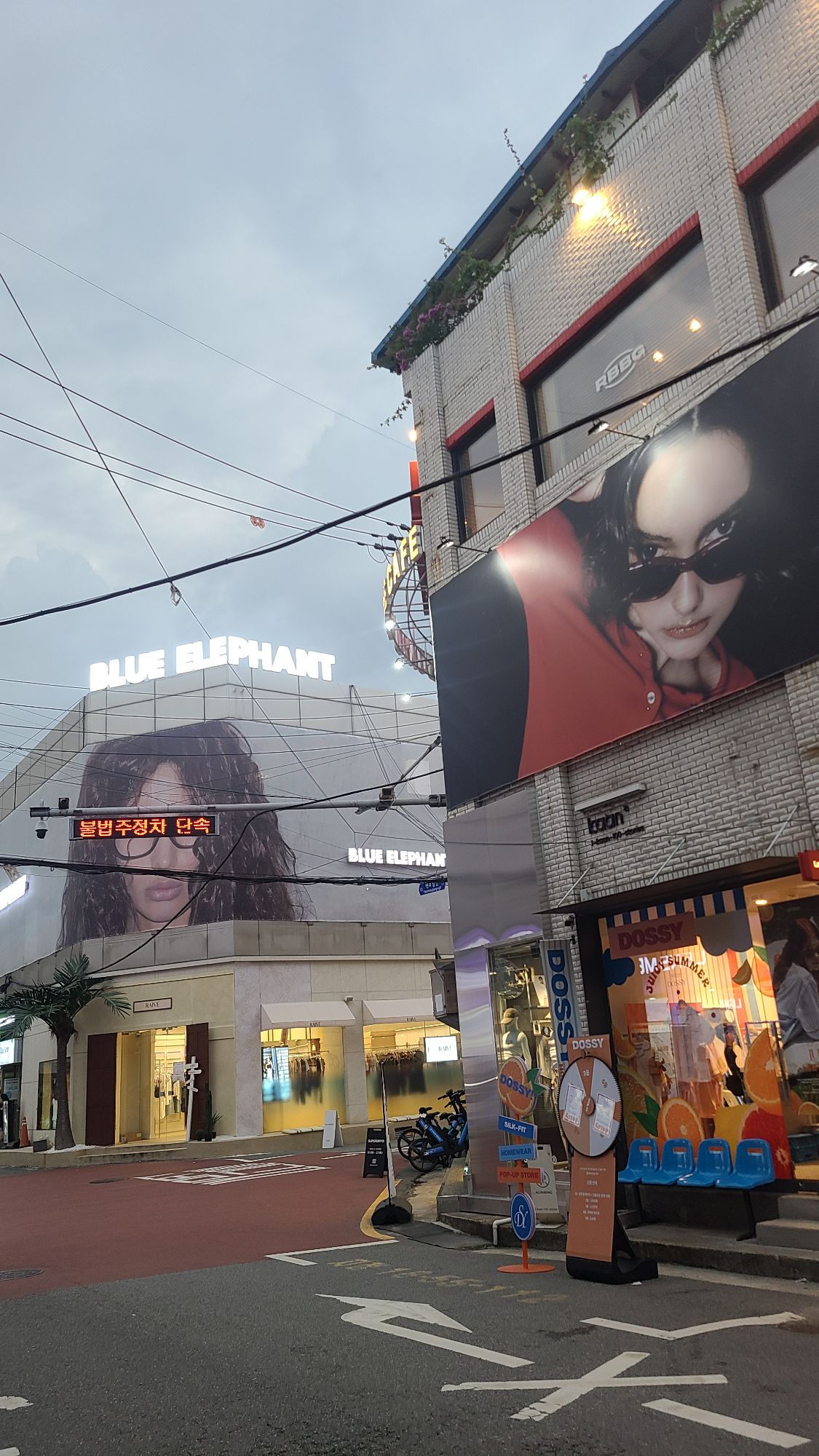 피드 이미지