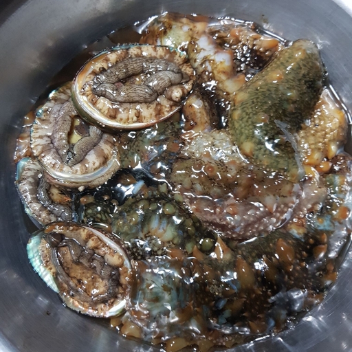 피드 이미지